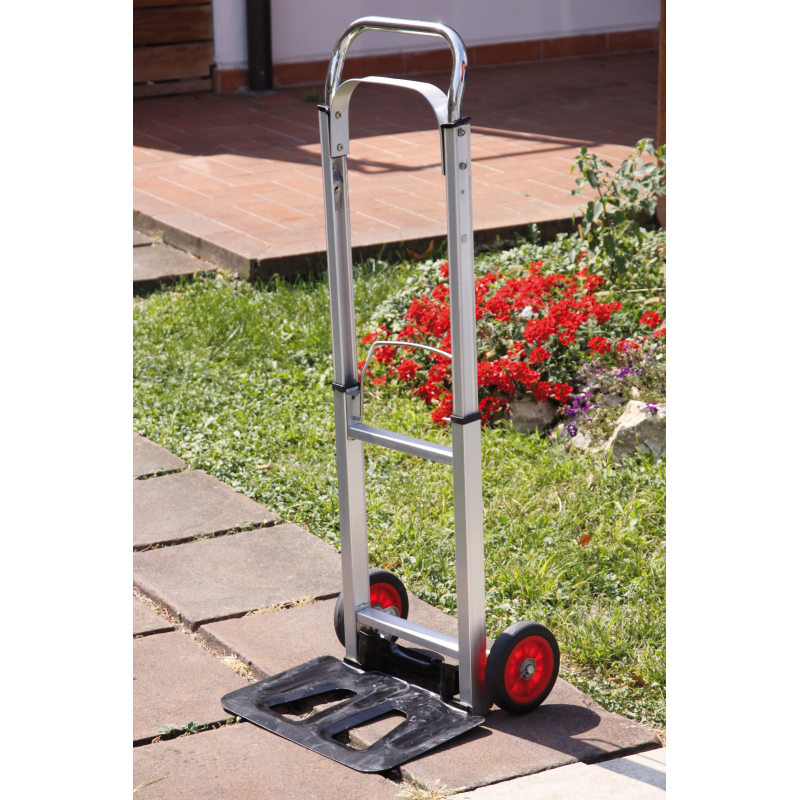 CARRELLO ERCOLINO